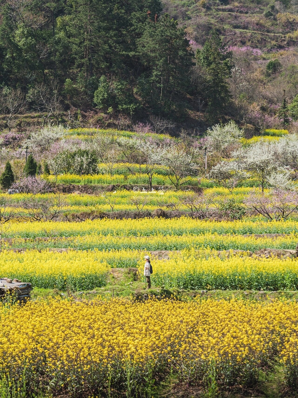 微信图片_20240317184019