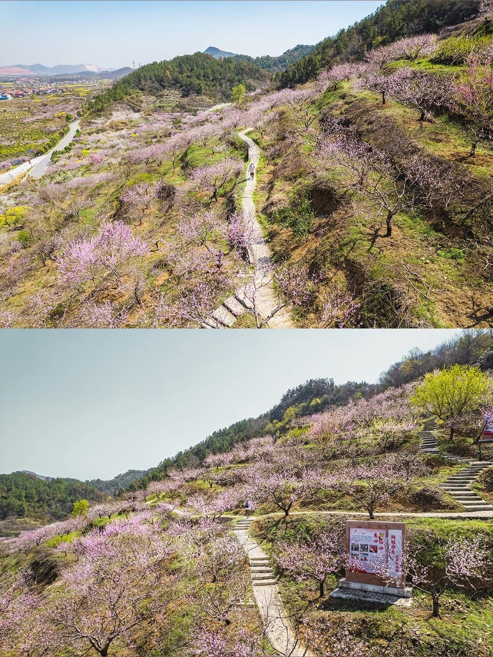 微信图片_20240317184028