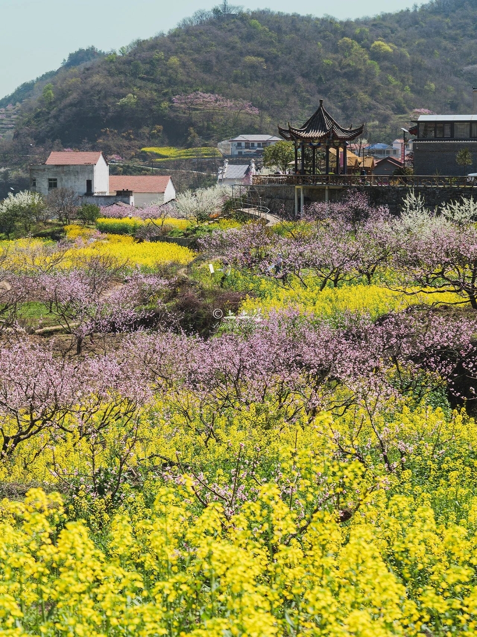 微信图片_20240317184045