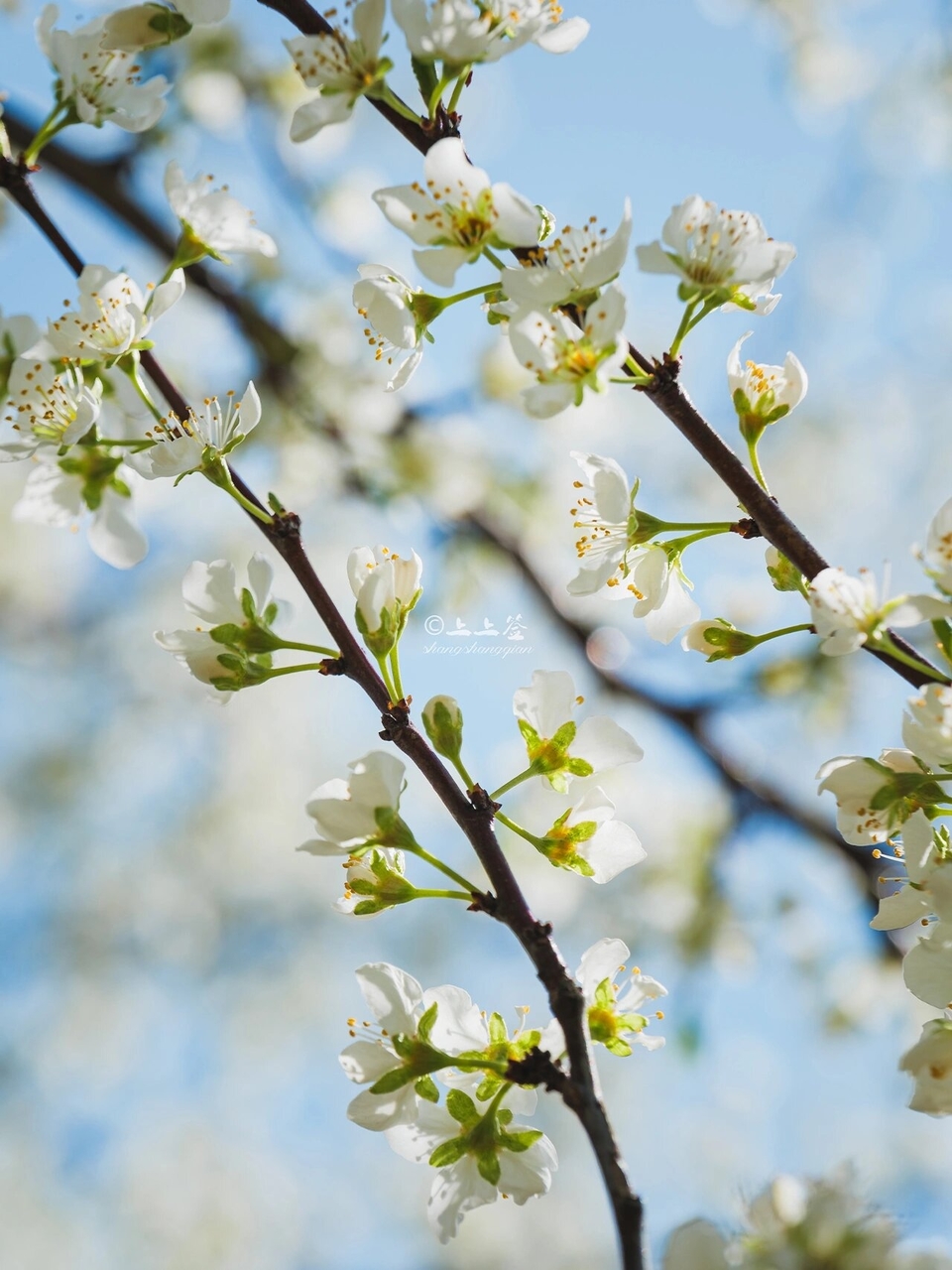 微信图片_20240317184050