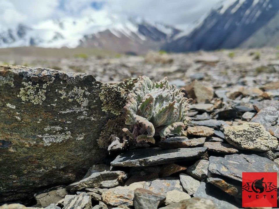 Zvgc5IxbB93M3Z8ZPtfB88HA2OMeLbdG6kGLmdgk_PGm9HlQI-ORFtlzHevpa4DL