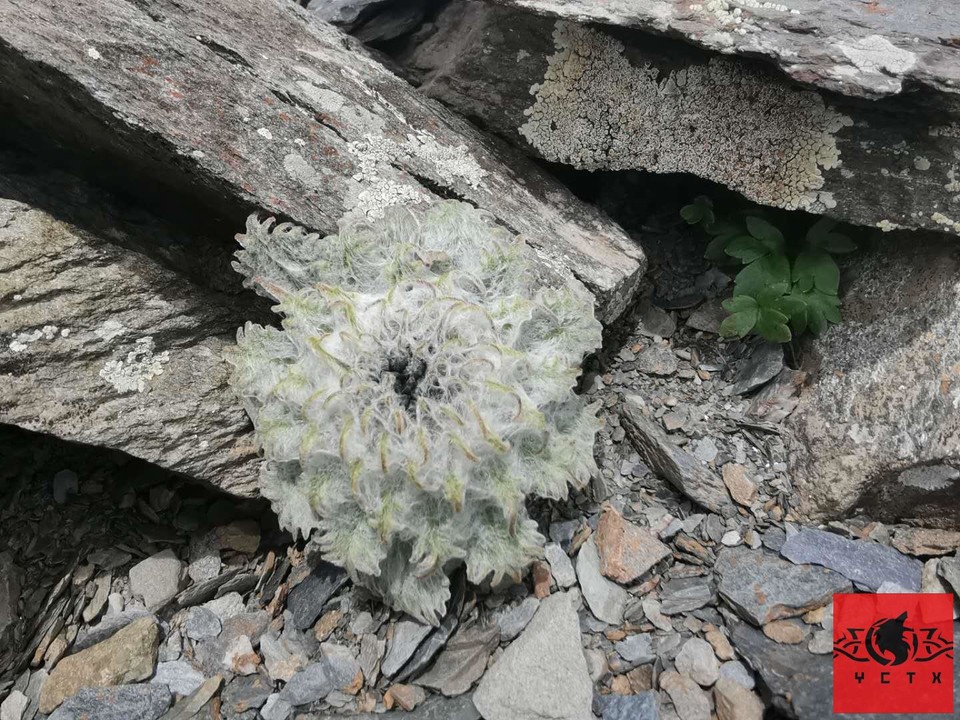 veVU65n4qb4UWBqb1T5La2Xb7tdLGRkD-1-UgZhZc7tfgPomI9QLC7bMV8emIXfq