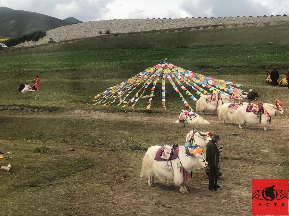 9d15c0360692f659e935db357d2ca93