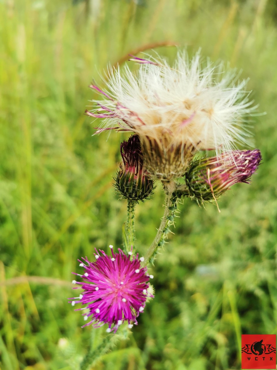 c4a71fd276f40e94d84e5a6d3a651f9