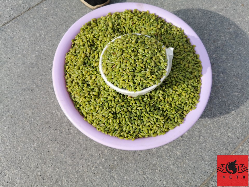 eca4249a369f680de01e08d27357370