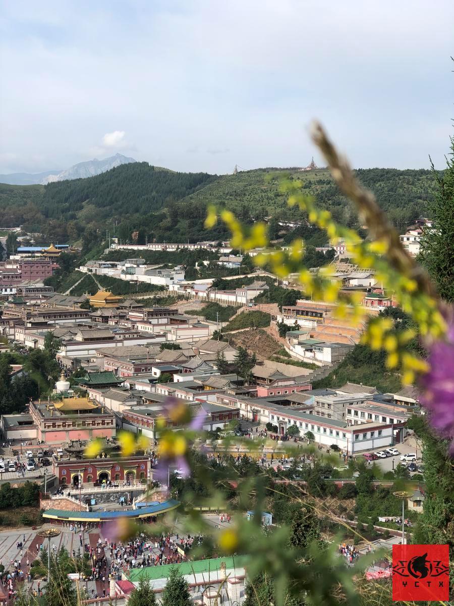 7e223617ea0a4190560e34ed46ce115