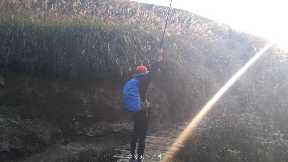 235232479474f0e24b7630ac4853b91