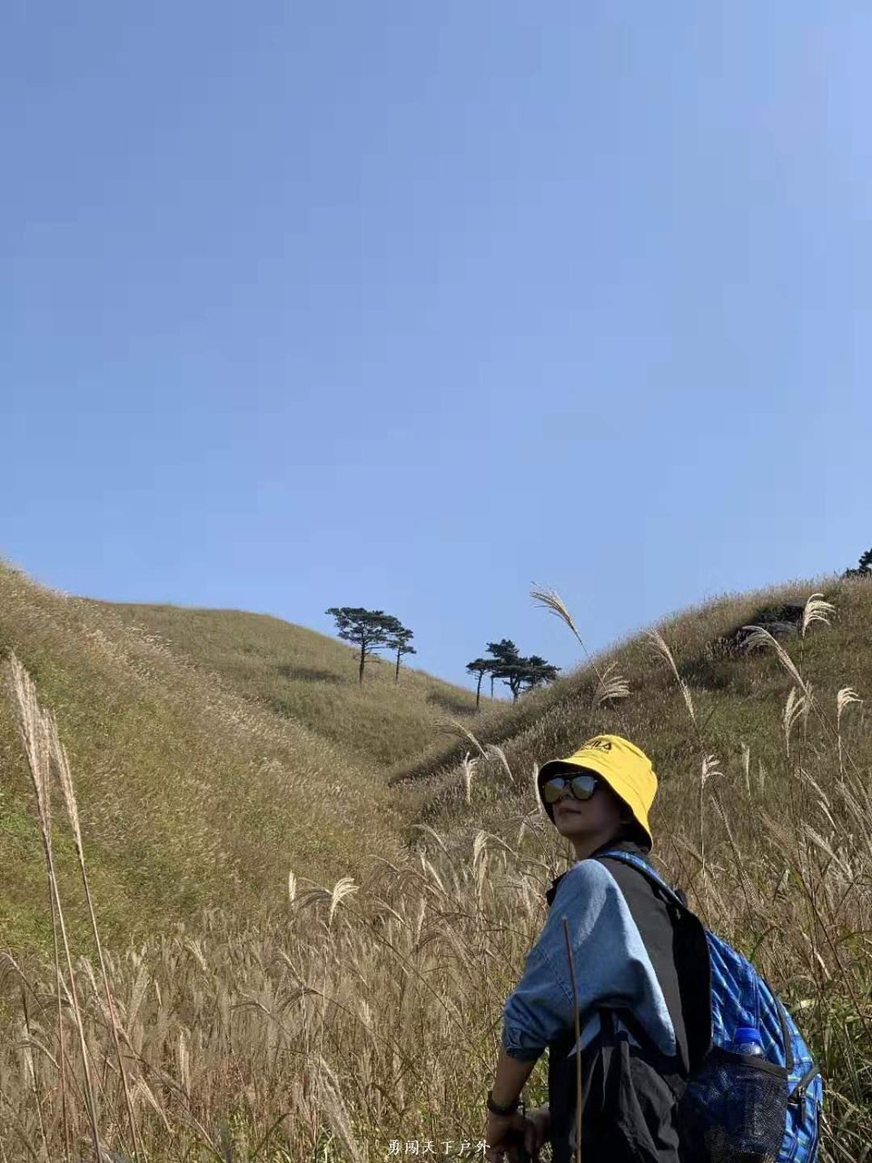 a769fb65b805dcbd4c8162573124947