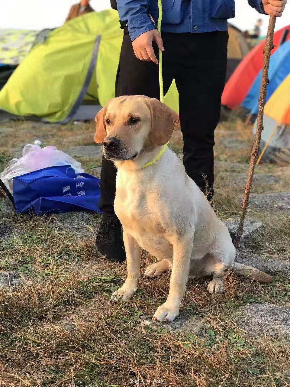 bf7c89d3627a7611a087849fbc2ba6c