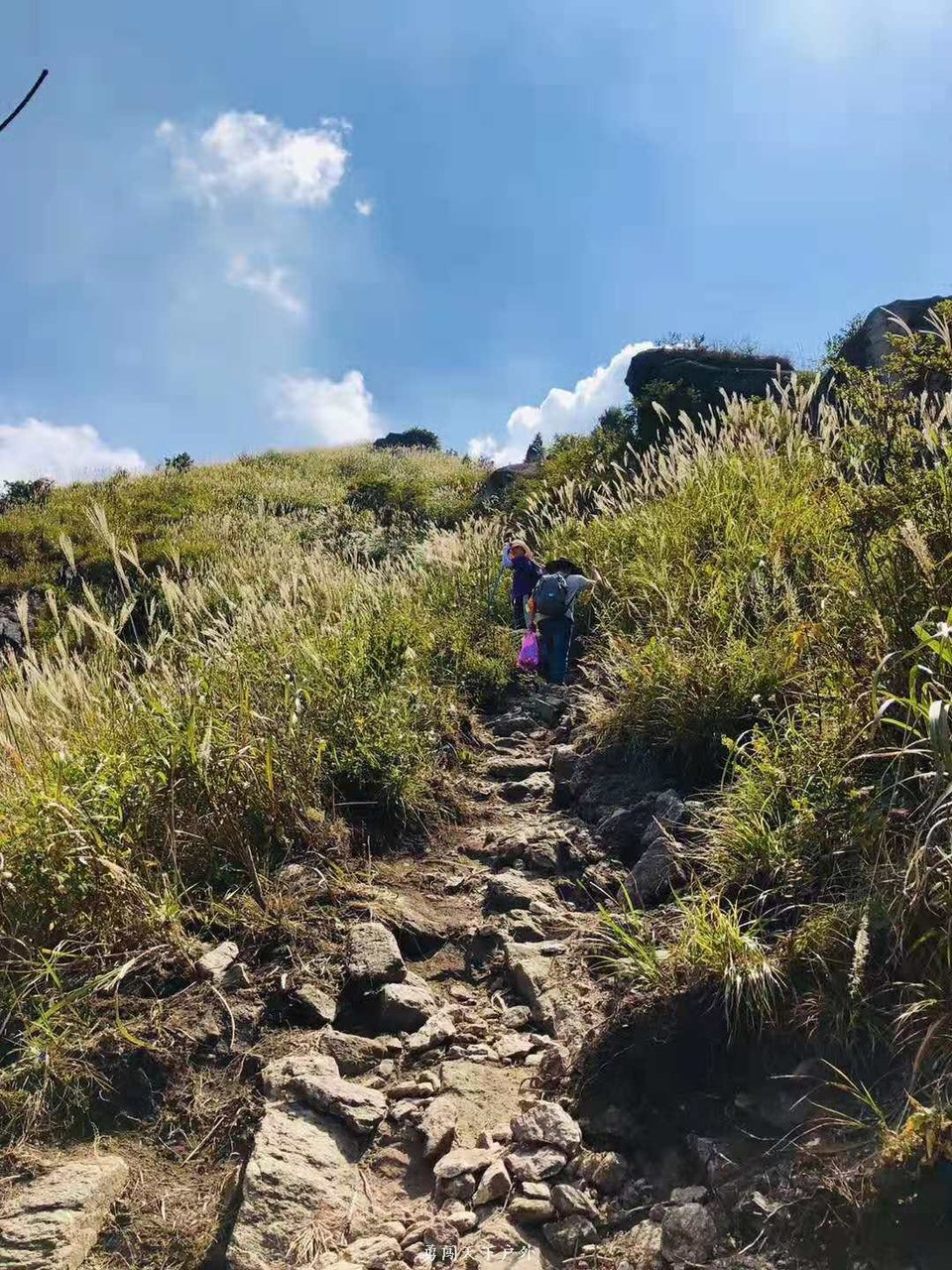 da4a13a354d1d8a008af11bb32bb6b8