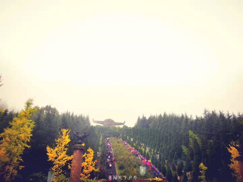 0ea4c575a77f842de60aca619bcb475