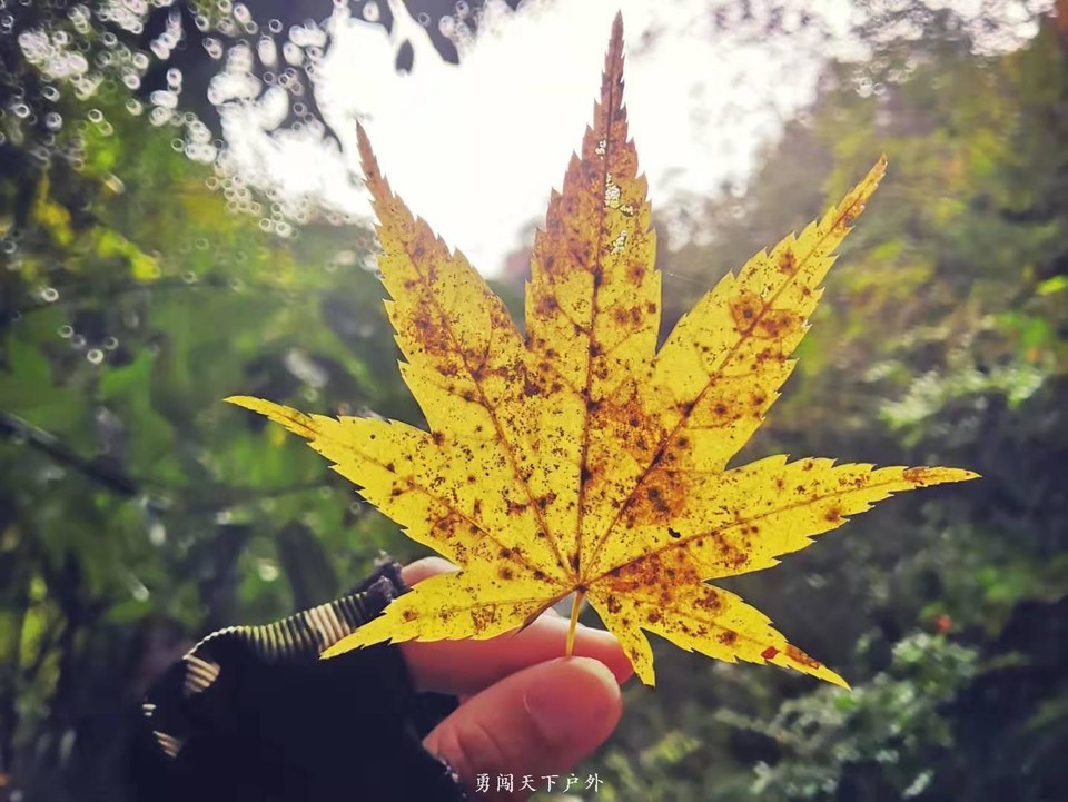 3ef906a5c1203900c96b60a46fd21c5