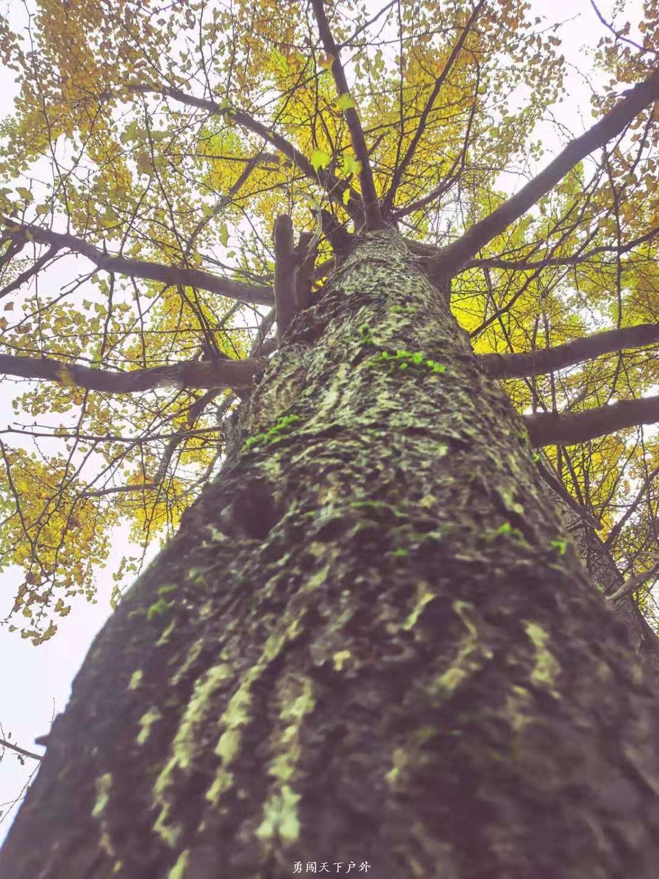 88e43915a2d6e198fd14eaf22039b70