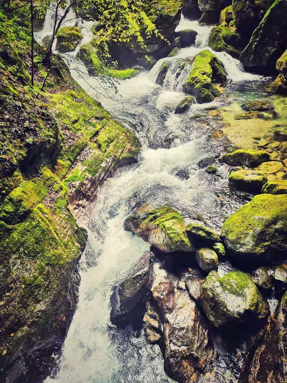 7773a5b9b5f18a8180d30154baf81bb