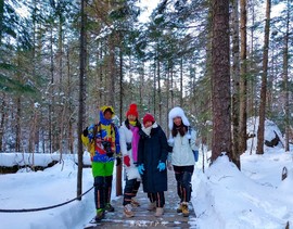 mmexport1574939831142