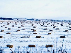 mmexport1574254794578