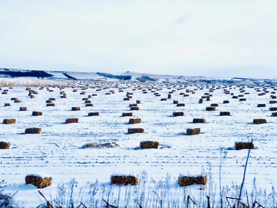 mmexport1574254794578