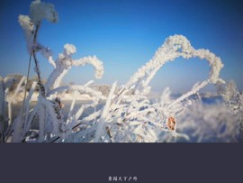 XX1skfrDfCbrxsL66rrGzRBqiE5uFrew6plbG8HFpP3t9jAdUKavBuQWbrqYdmaQ