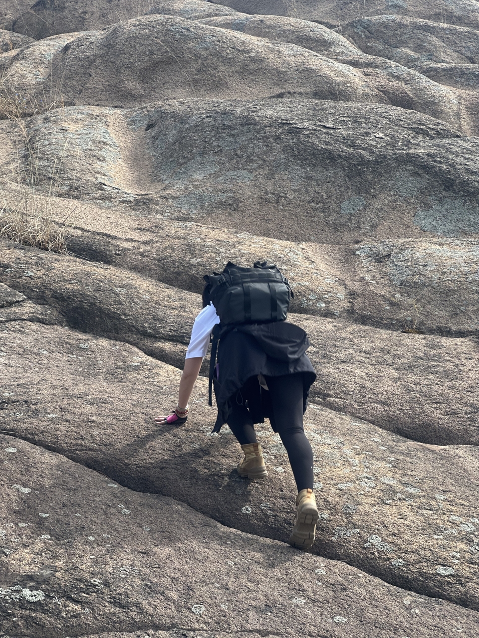 微信图片_202410191216362