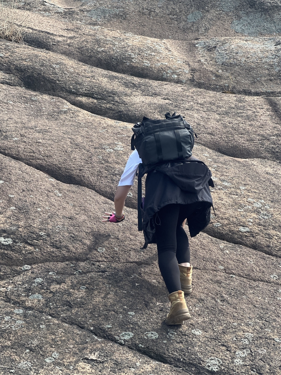 微信图片_202410191216361