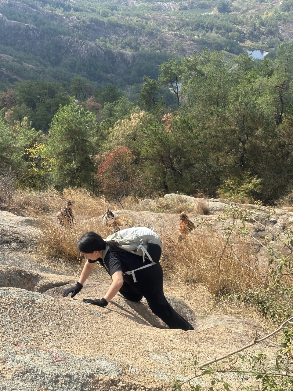 微信图片_202410191216348