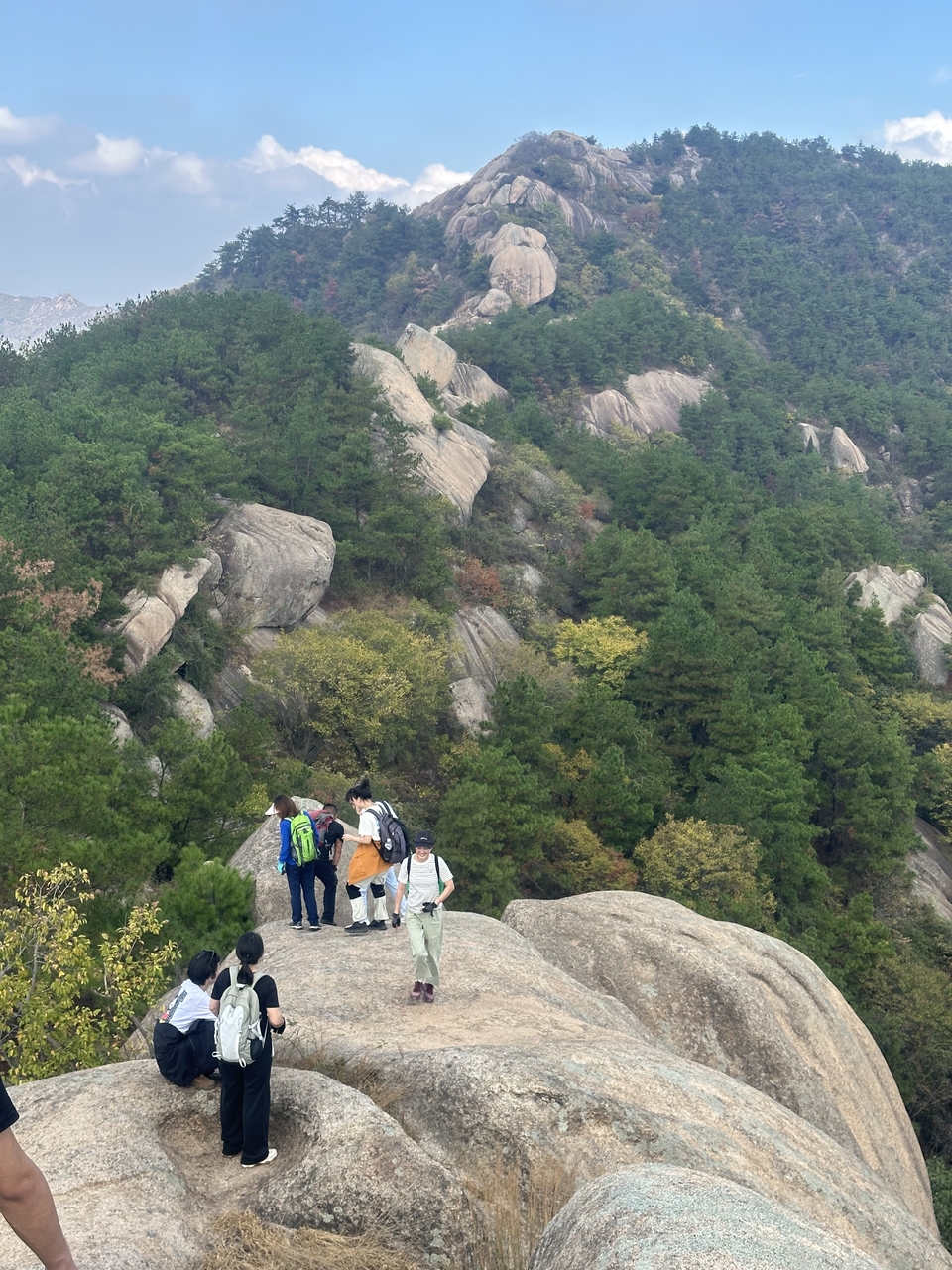 微信图片_2024101912163411