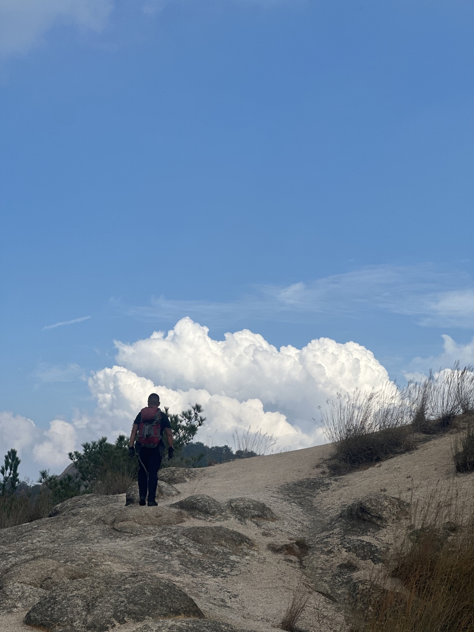 微信图片_202410191216354