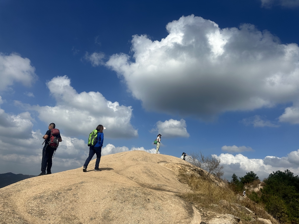 微信图片_202410191216346