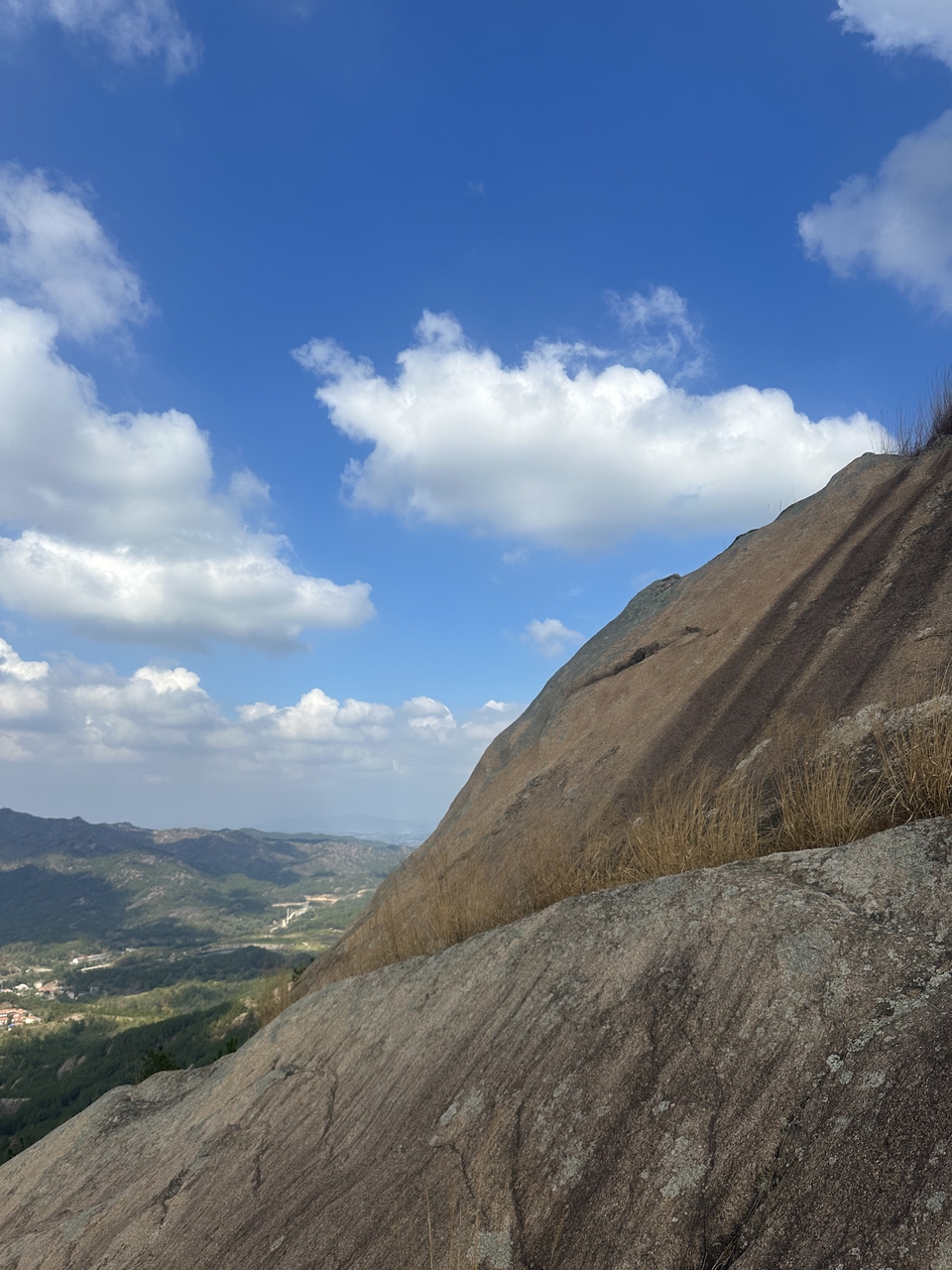 微信图片_2024101912163410