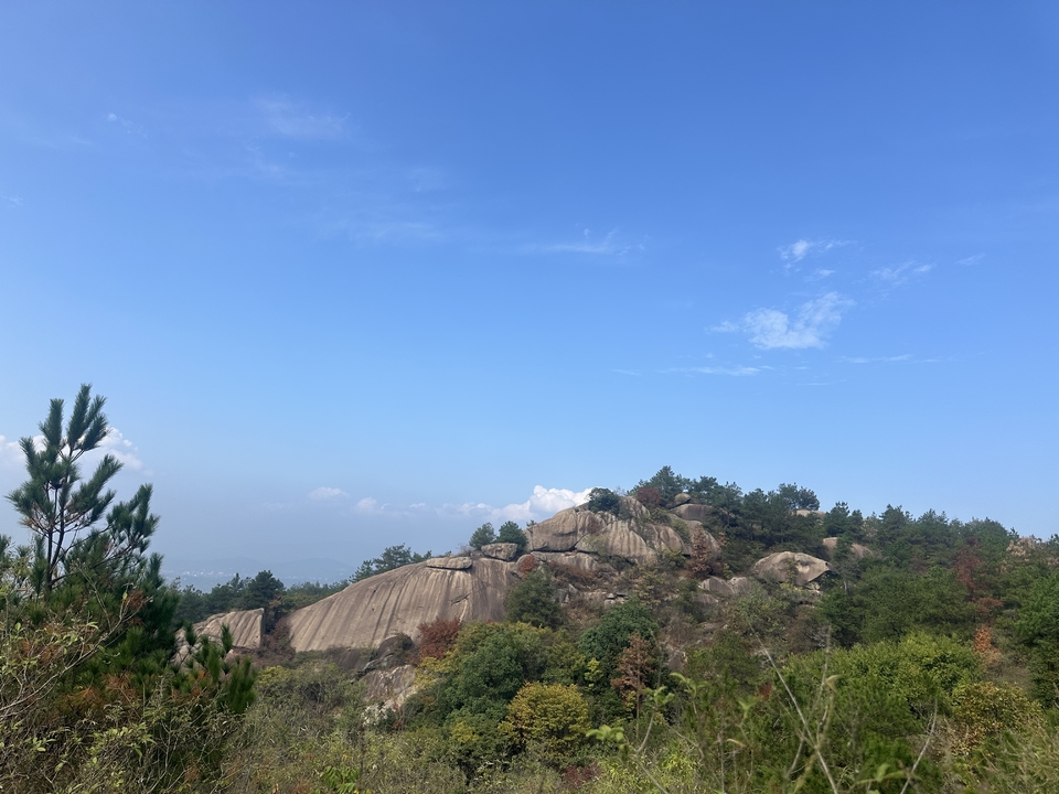 微信图片_20241019121441