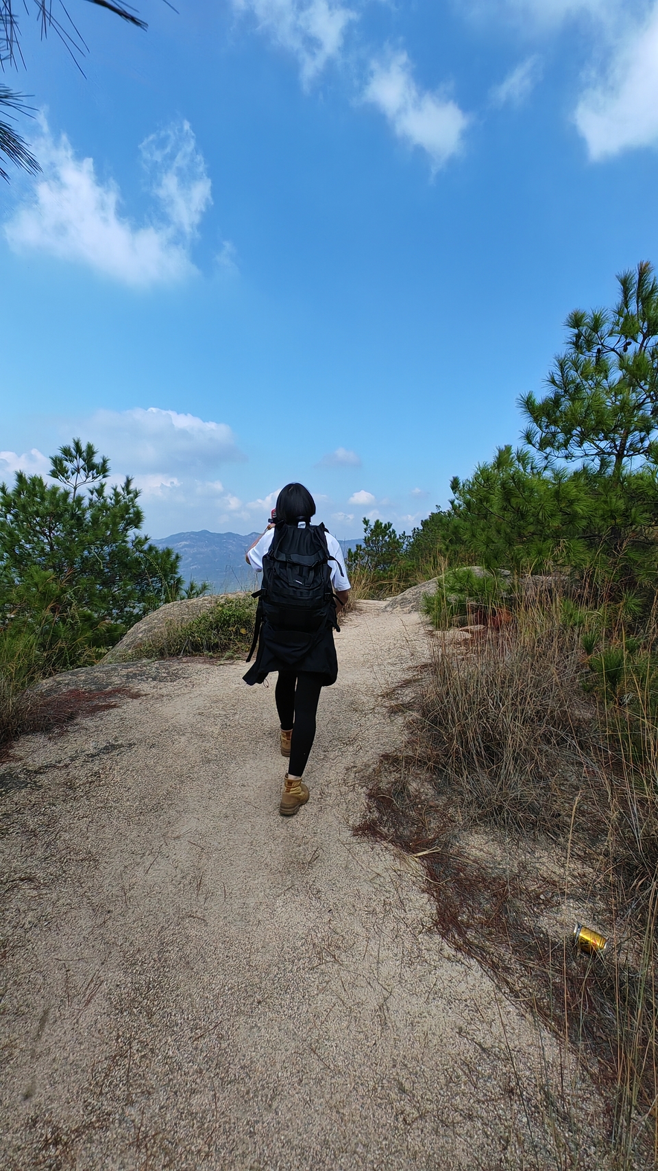 微信图片_2024101912163311