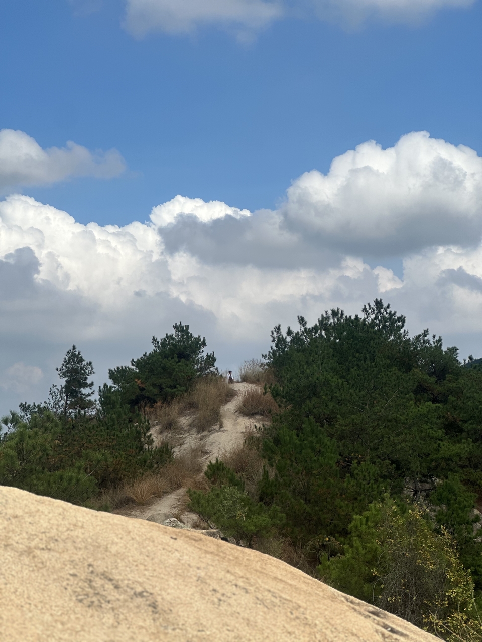 微信图片_202410191216344