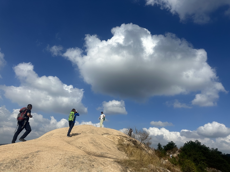 微信图片_202410191216345