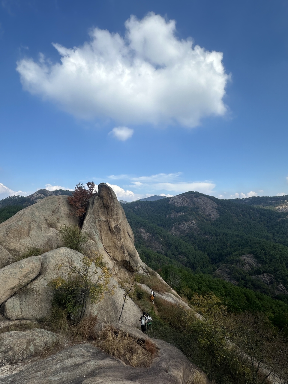 微信图片_202410191216351