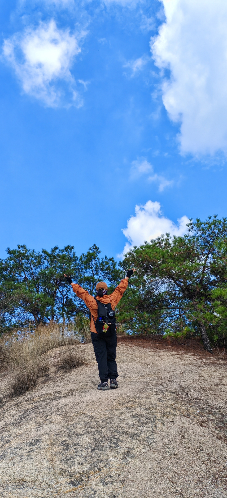 微信图片_2024101912163314