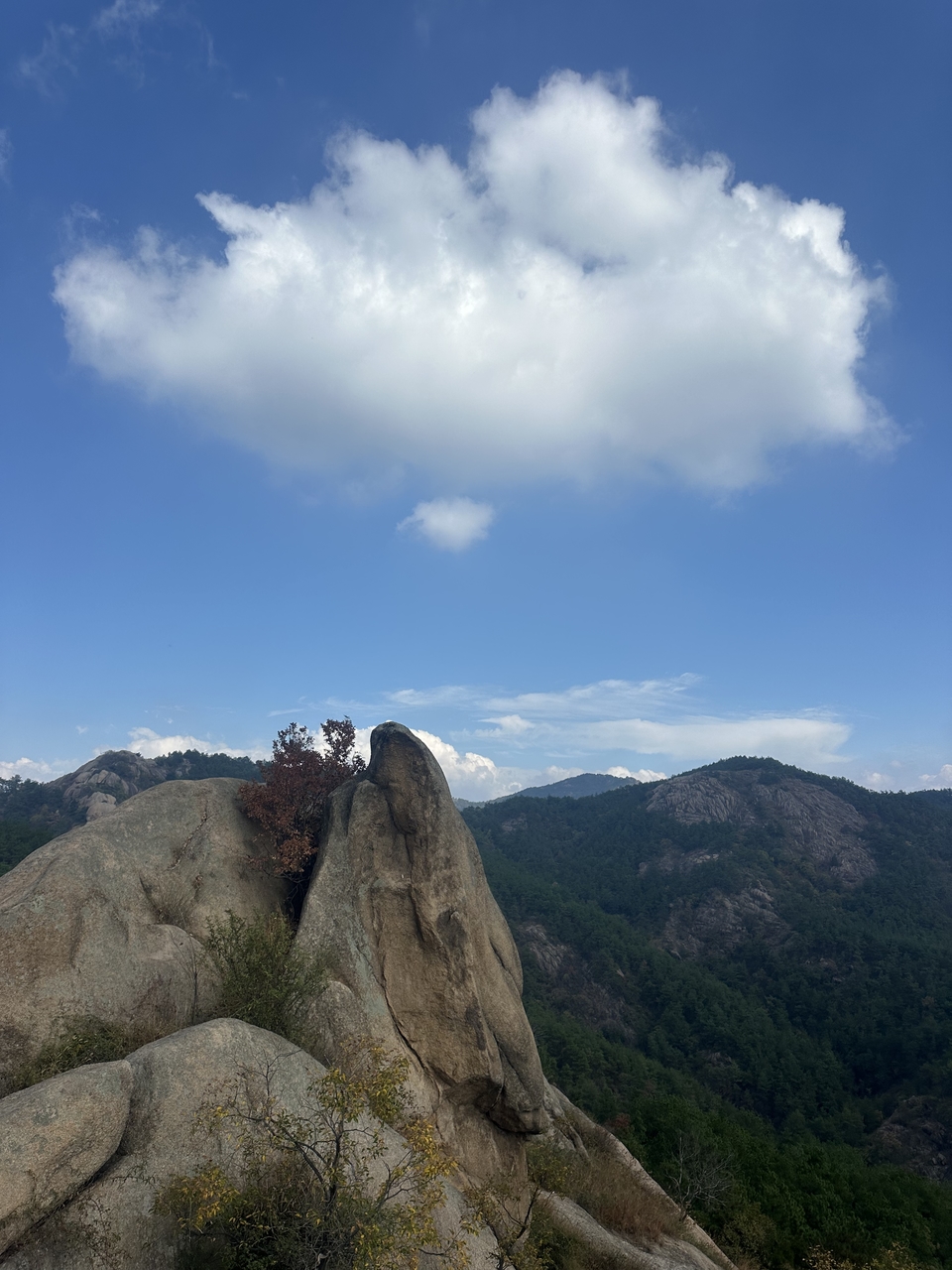 微信图片_202410191216352