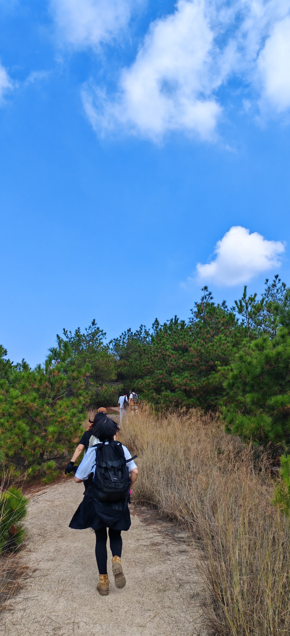 微信图片_2024101912163312