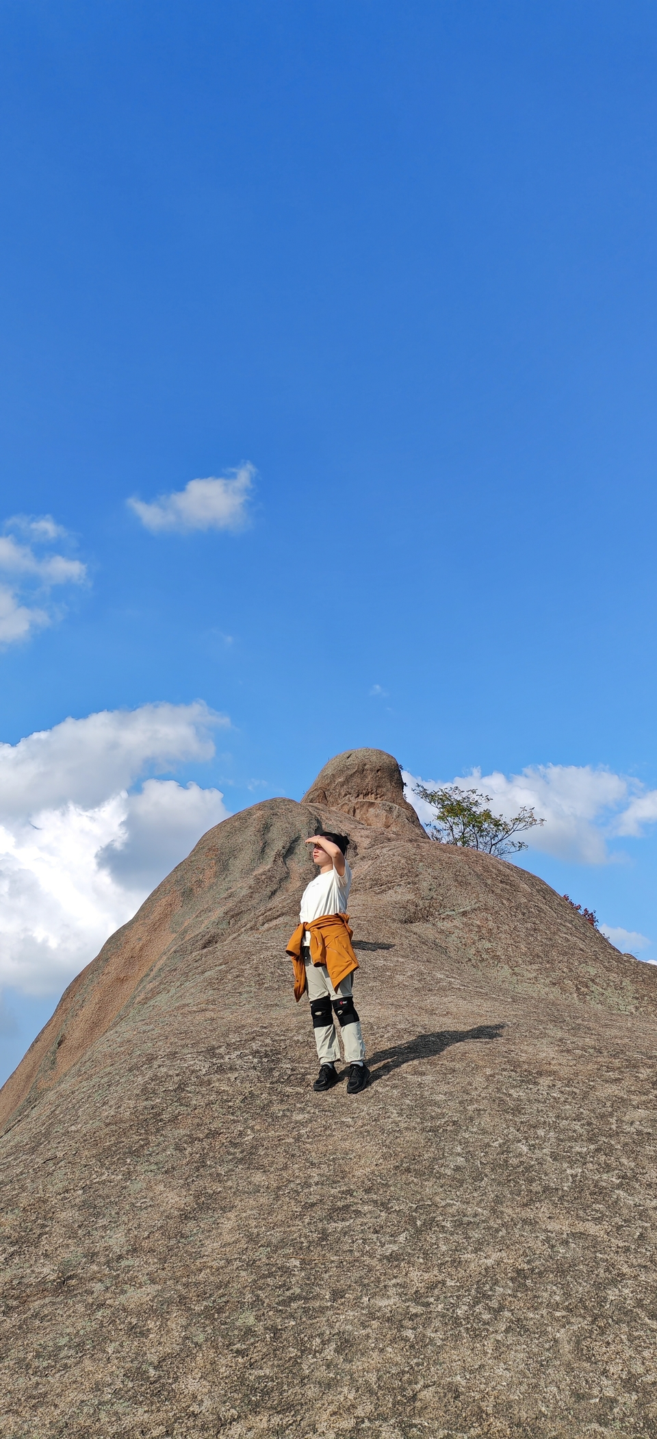 微信图片_202410191216331