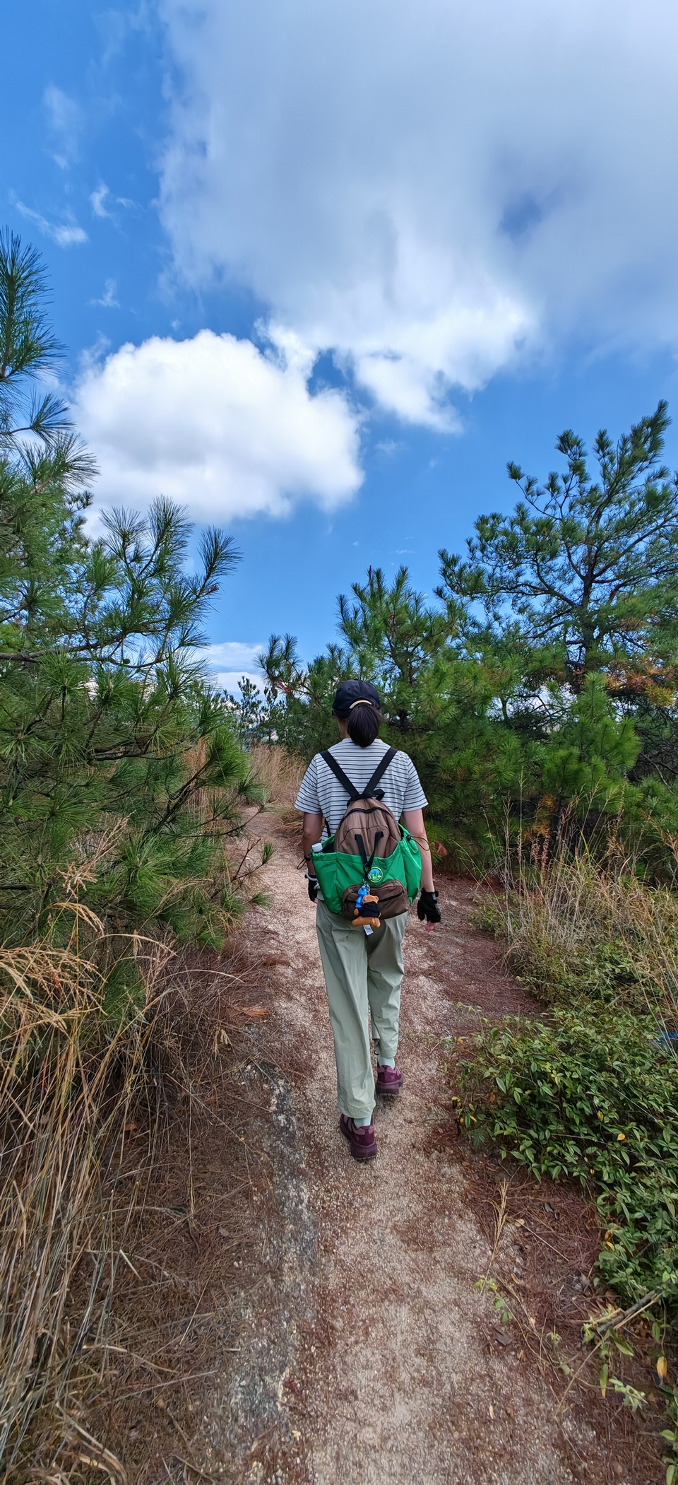 微信图片_2024101912163323