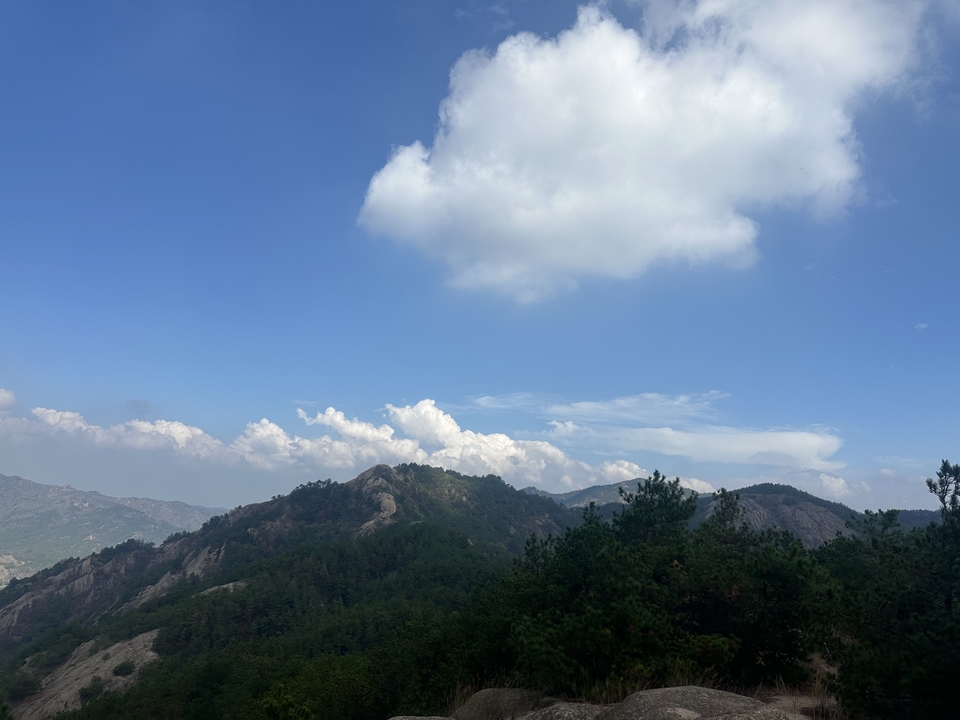 微信图片_202410191216353