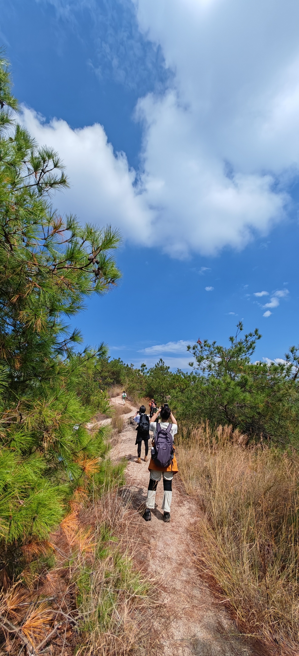 微信图片_202410191216338