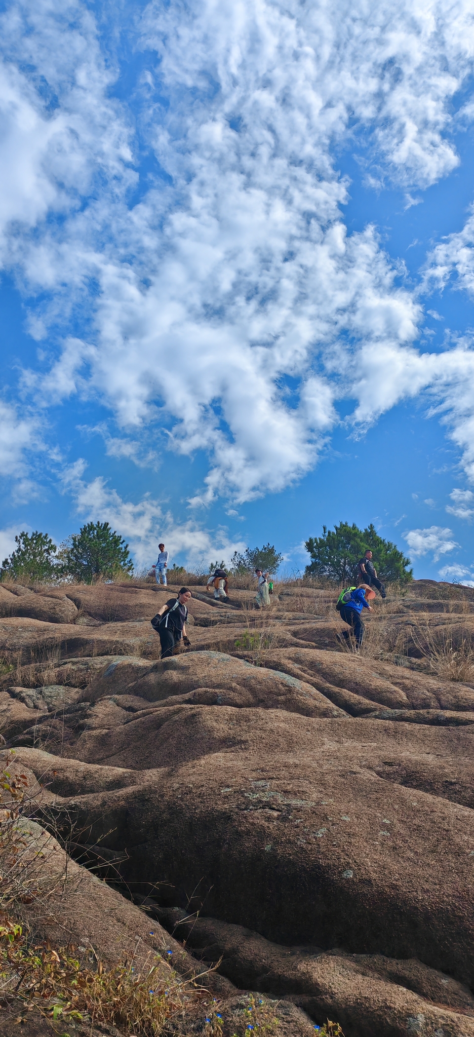 微信图片_202410191216336