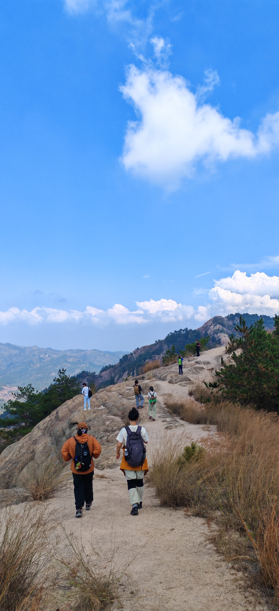 微信图片_2024101912163317