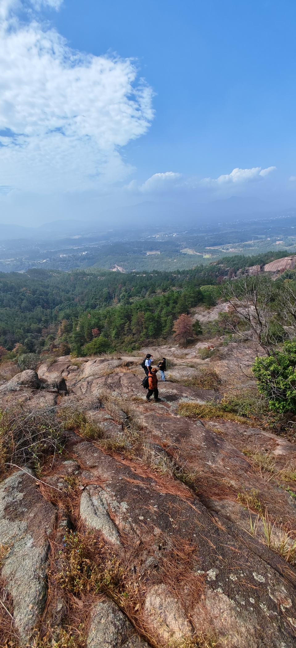 微信图片_202410191216337