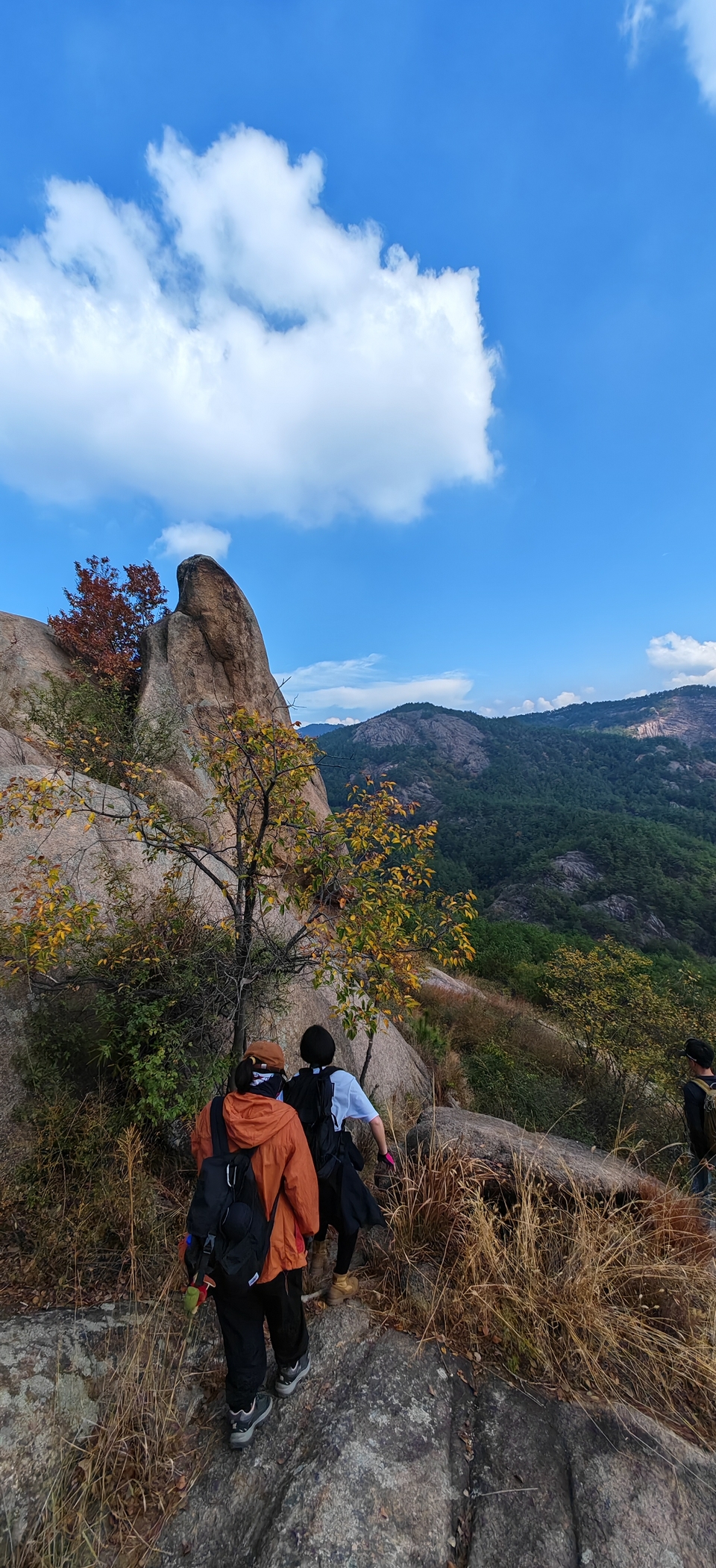 微信图片_2024101912163325