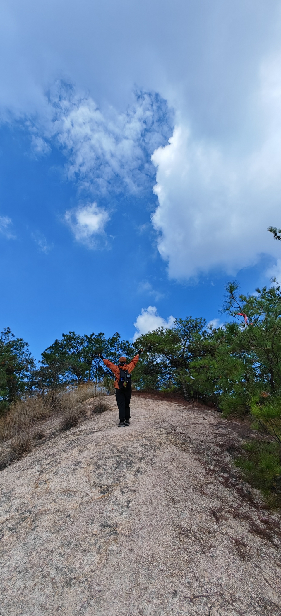 微信图片_2024101912163315