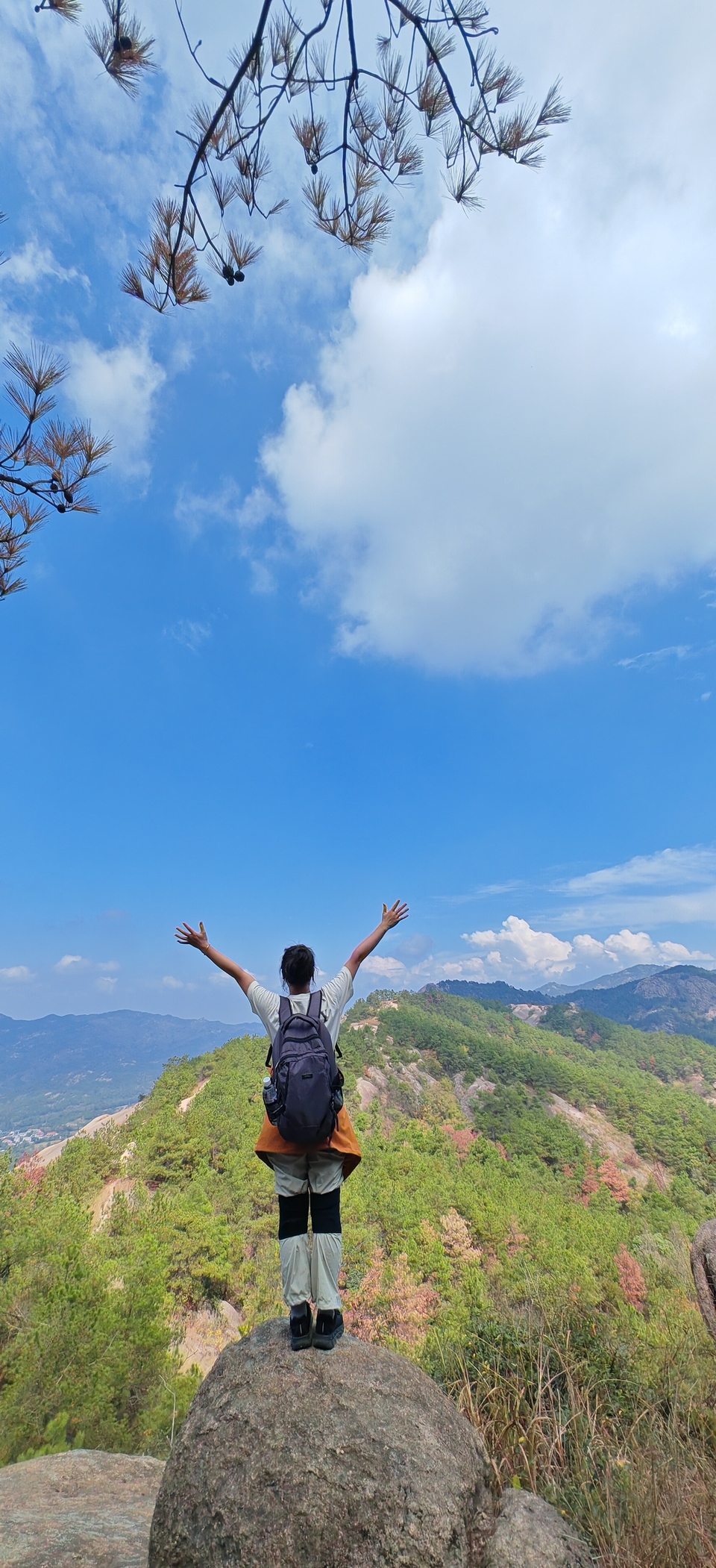 微信图片_2024101912163310