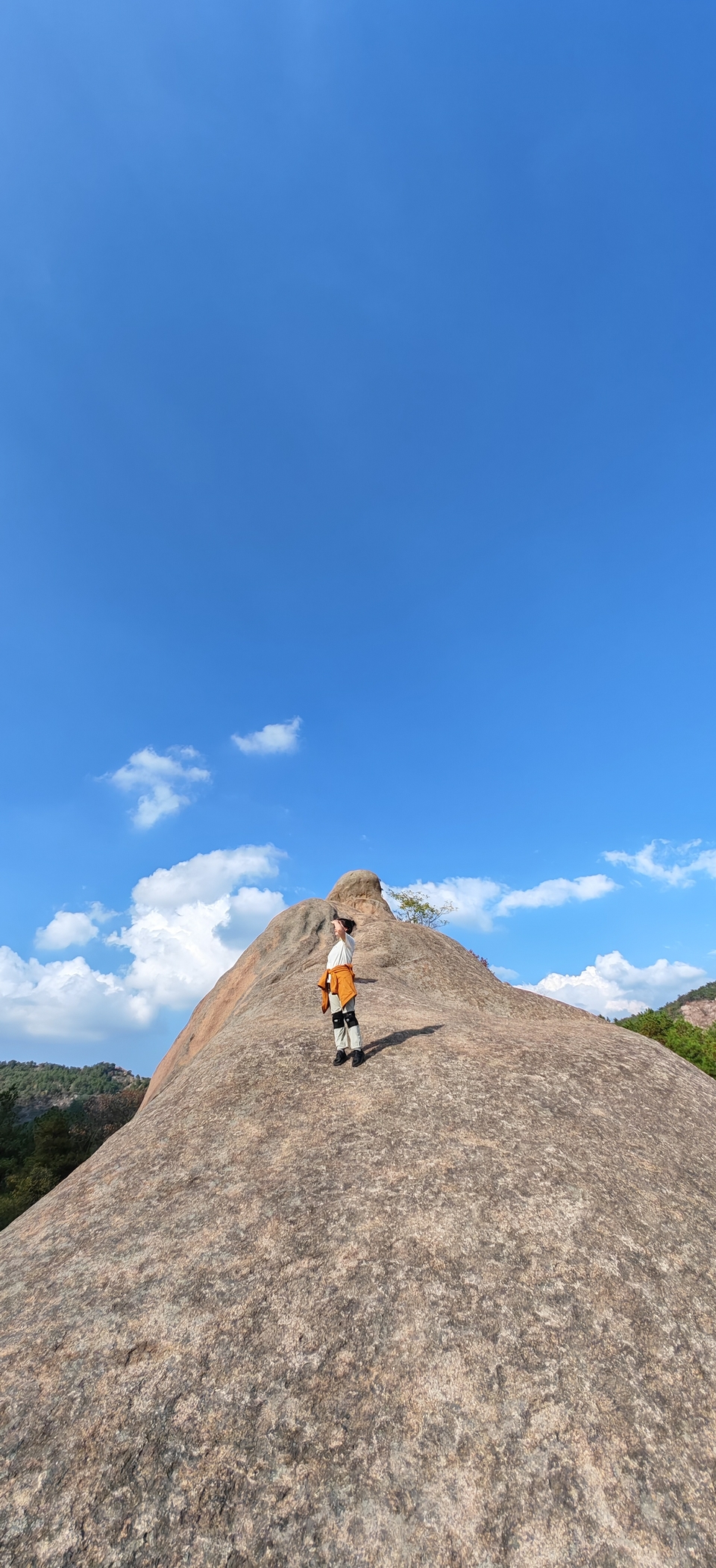 微信图片_20241019121633