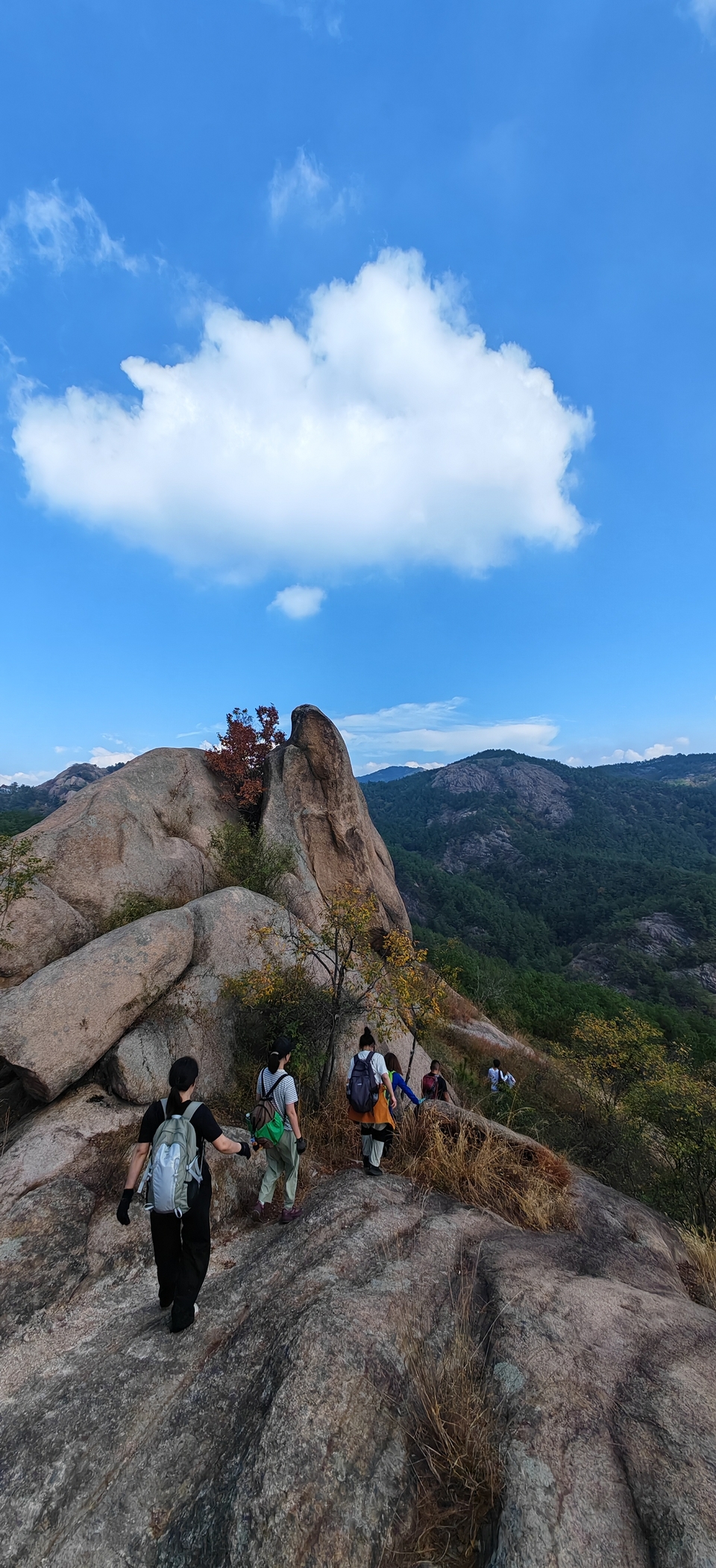 微信图片_2024101912163324