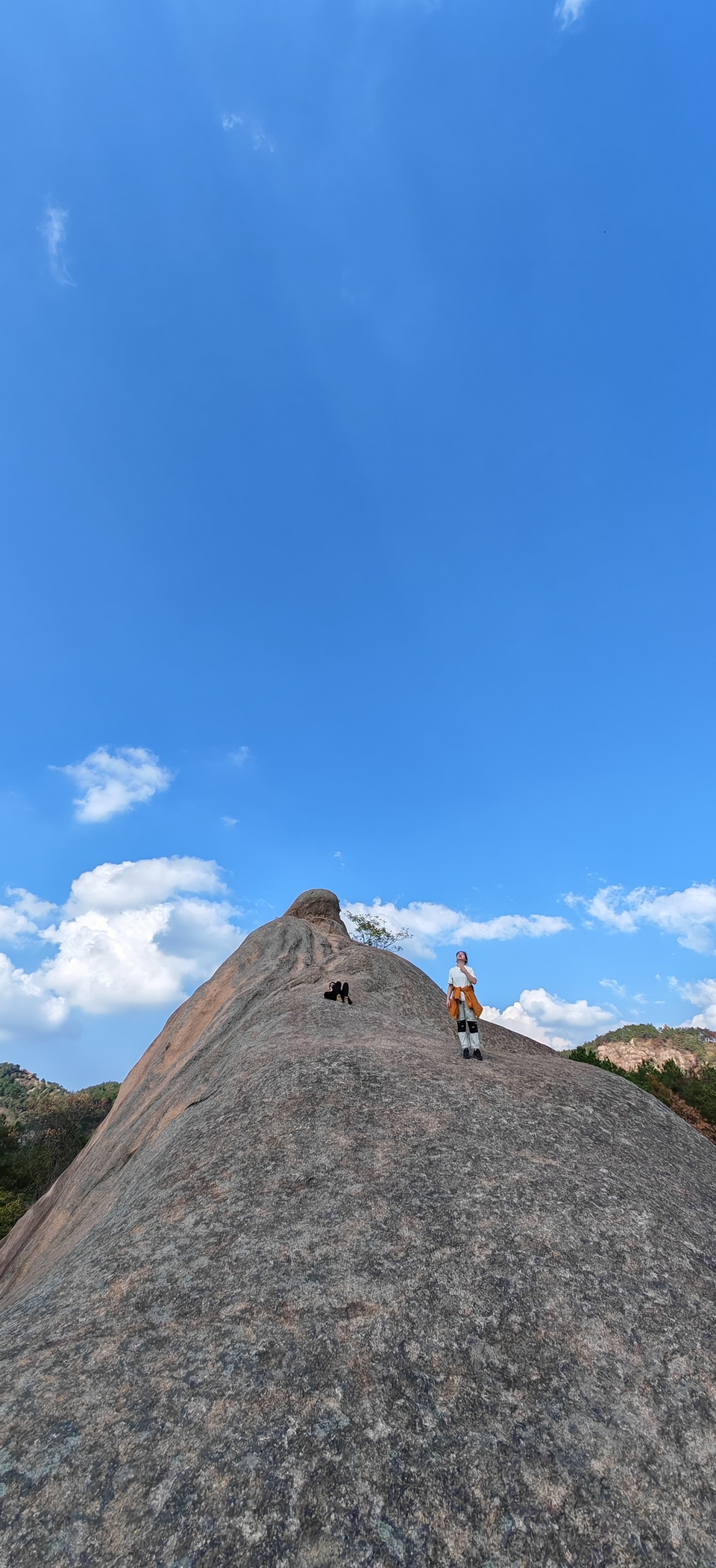 微信图片_202410191216332